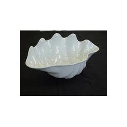 White Clam Shell Tray