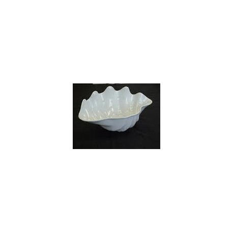 White Clam Shell Tray