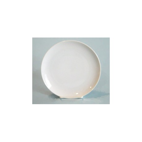 Dinner Plate 9 1/2"